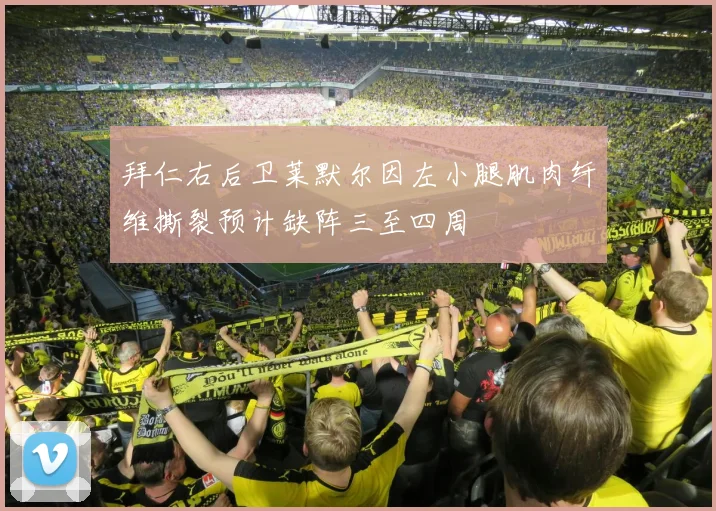 拜仁右后卫莱默尔因左小腿肌肉纤维撕裂预计缺阵三至四周